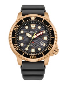 Reloj Citizen Promaster Dive Unisex 61674