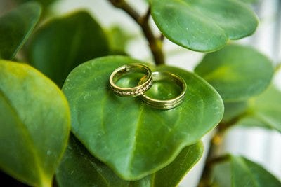 Argollas de matrimonio en plantas