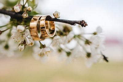 Argollas de matrimonio en naturaleza
