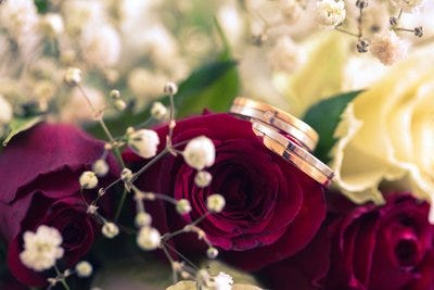 Argollas de matrimonio y rosas