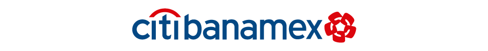 logo tarjeta amex